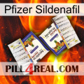 Pfizer Sildenafil 12